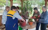 IMG_20250603_101533